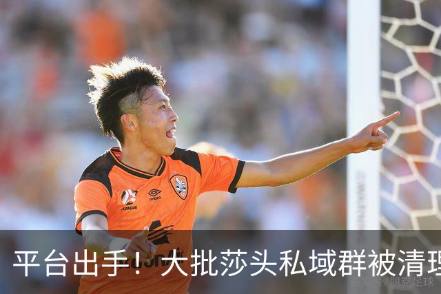 平台出手！大批莎头私域群被清理，饭圈乱象整治，全网纷纷叫好